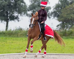 Weihnachtsausreitdecke, Fleecedecke
