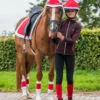 Weihnachtsbandagen, Fleecebandagen, 4er Set